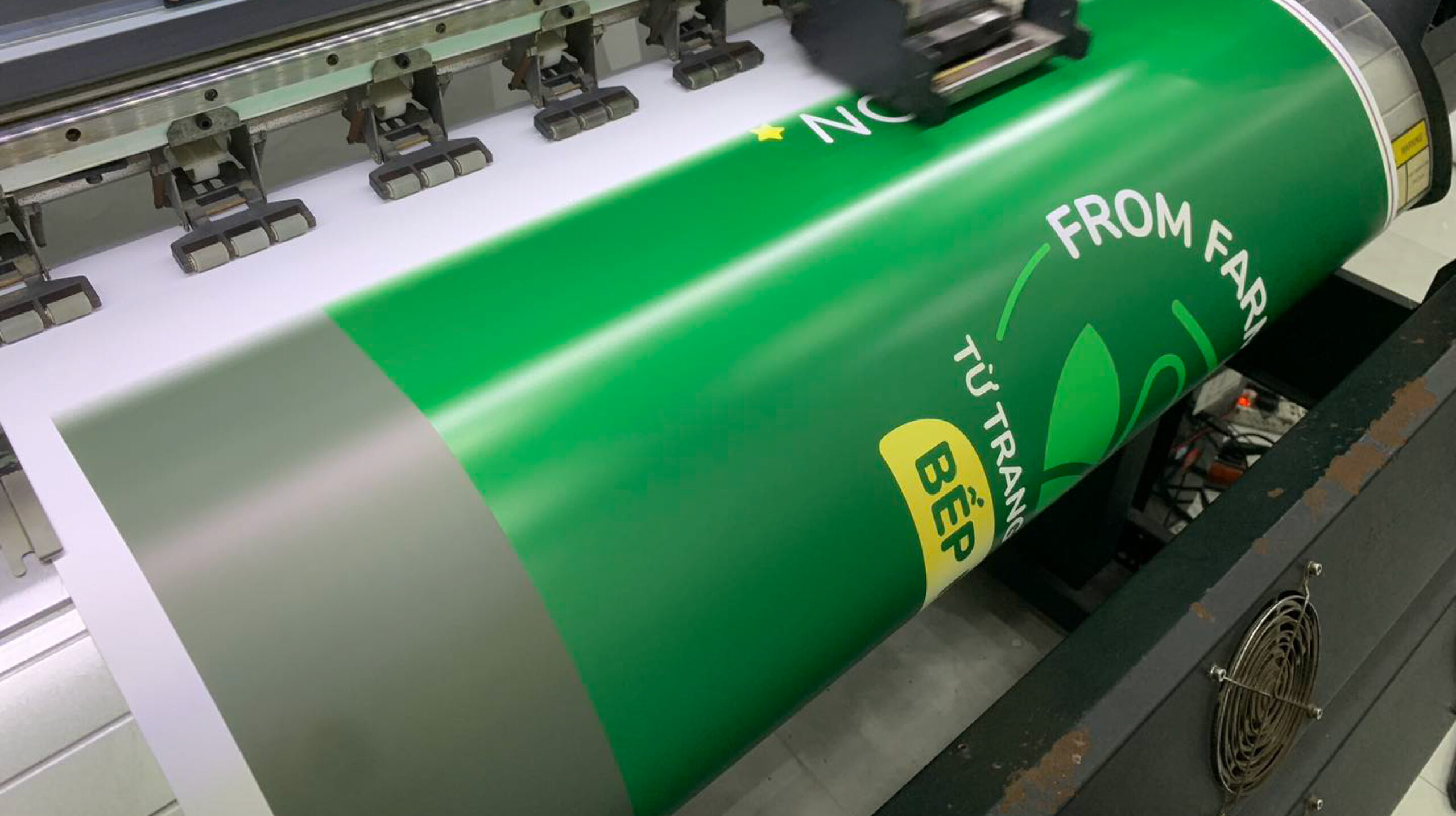 Decal Trắng - Ảnh 7