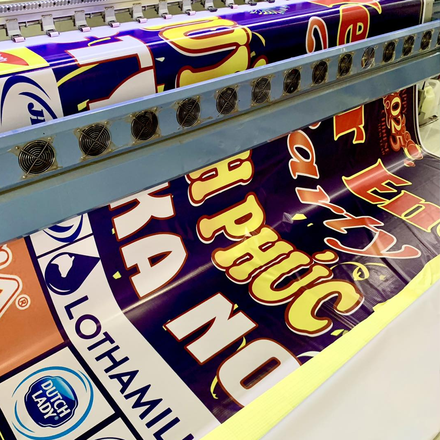 Bạt Hiflex - Ảnh 5