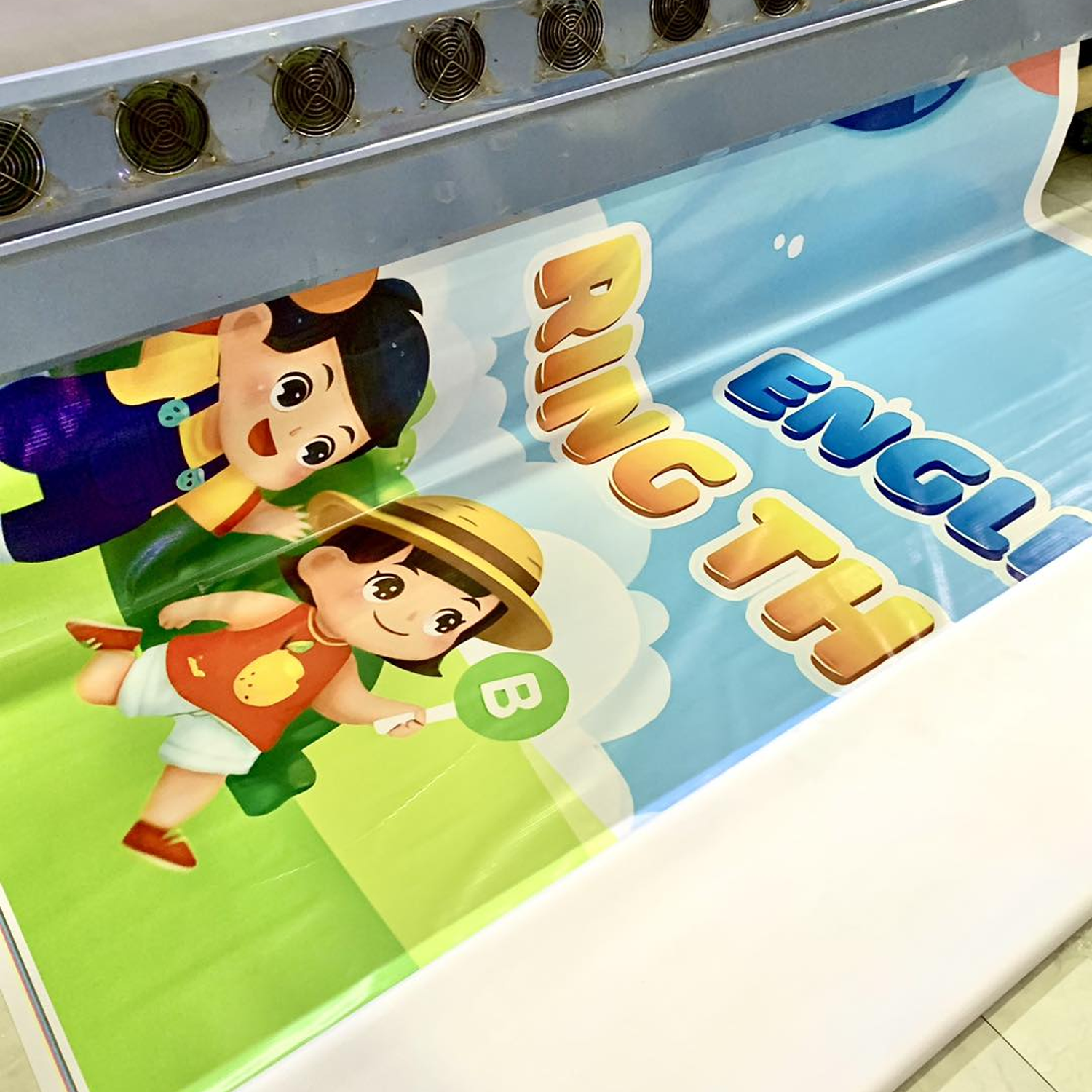 Bạt Hiflex - Ảnh 4