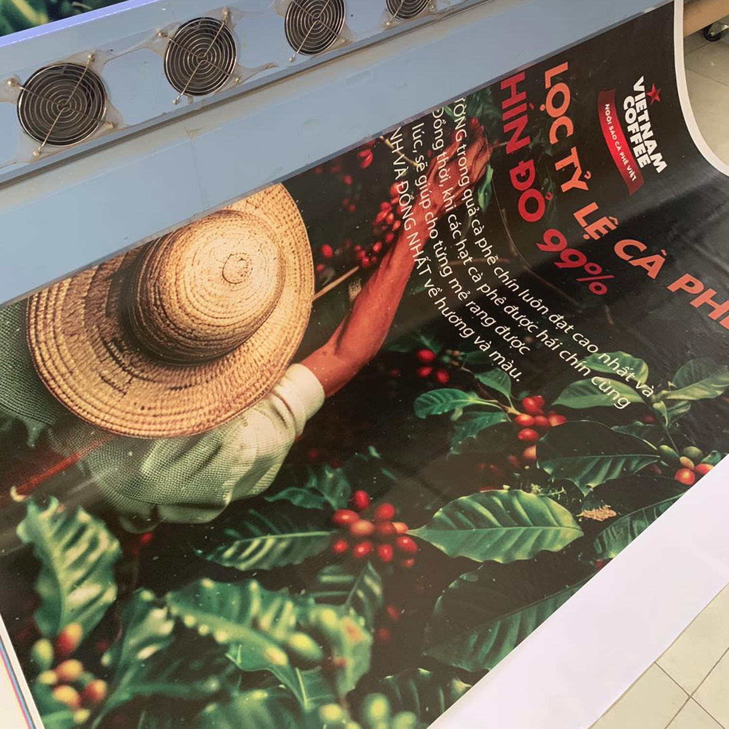 Bạt Hiflex - Ảnh 3