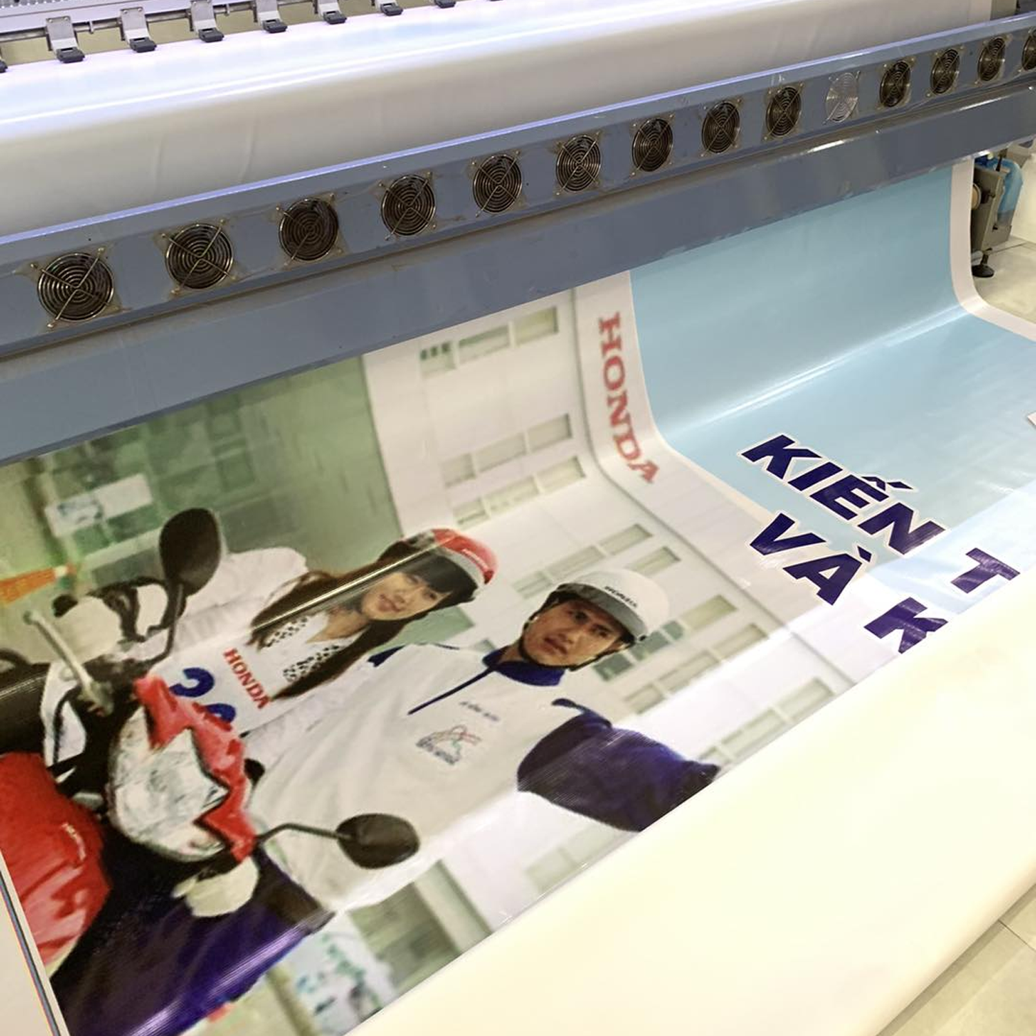 Bạt Hiflex - Ảnh 2