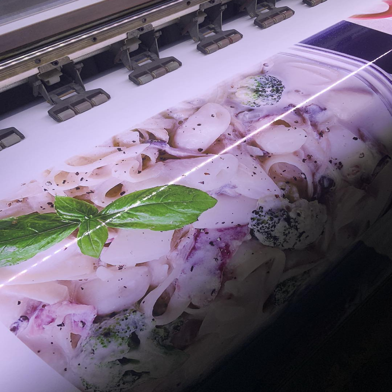 Decal Trắng - Ảnh 6