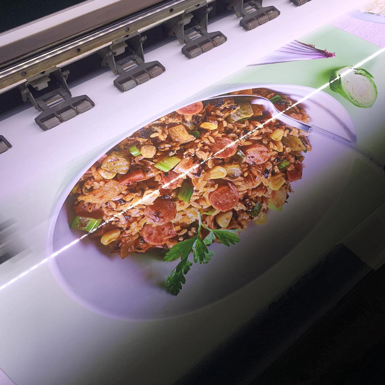 Decal Trắng - Ảnh 4