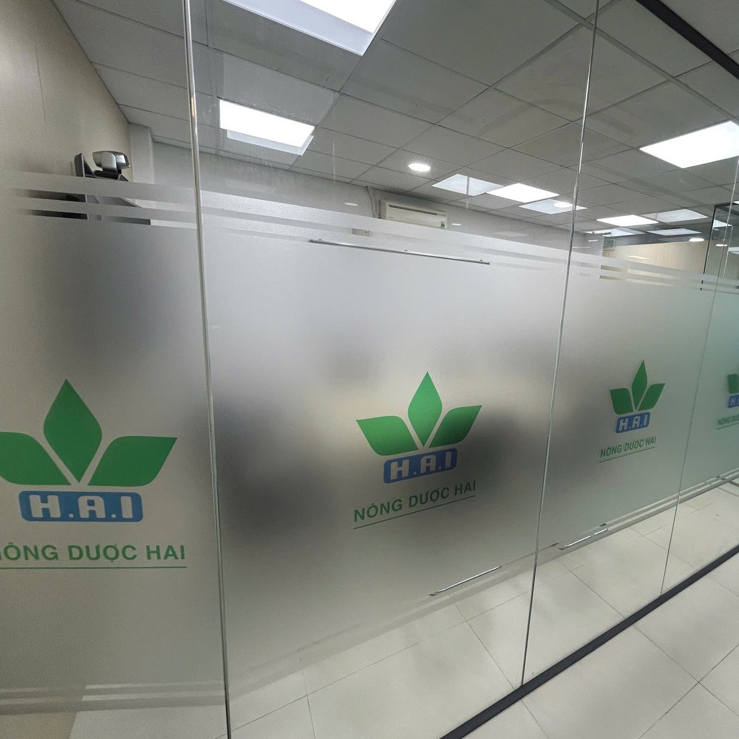 Decal Cát Mờ - Ảnh 2