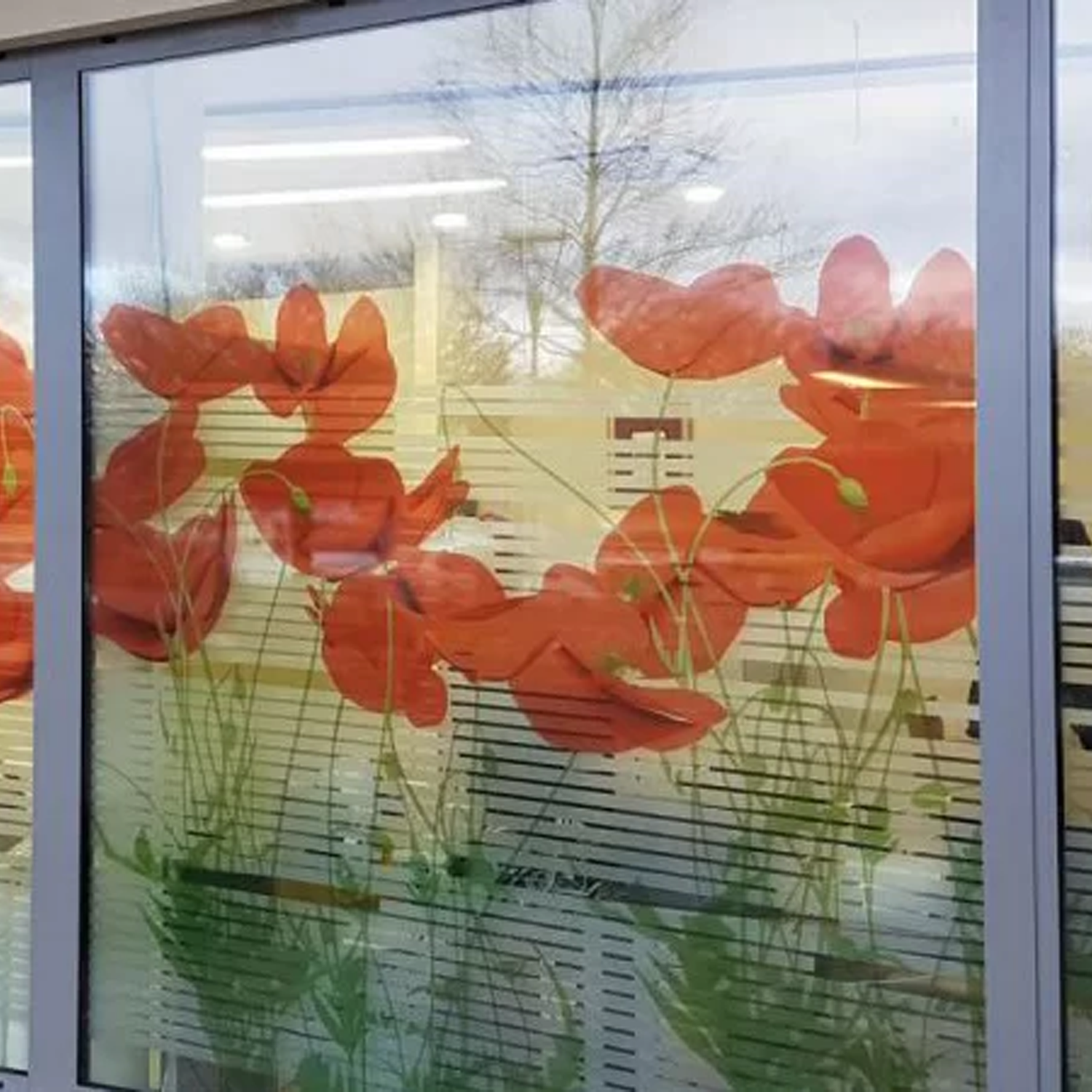 Decal Trong - Ảnh 8