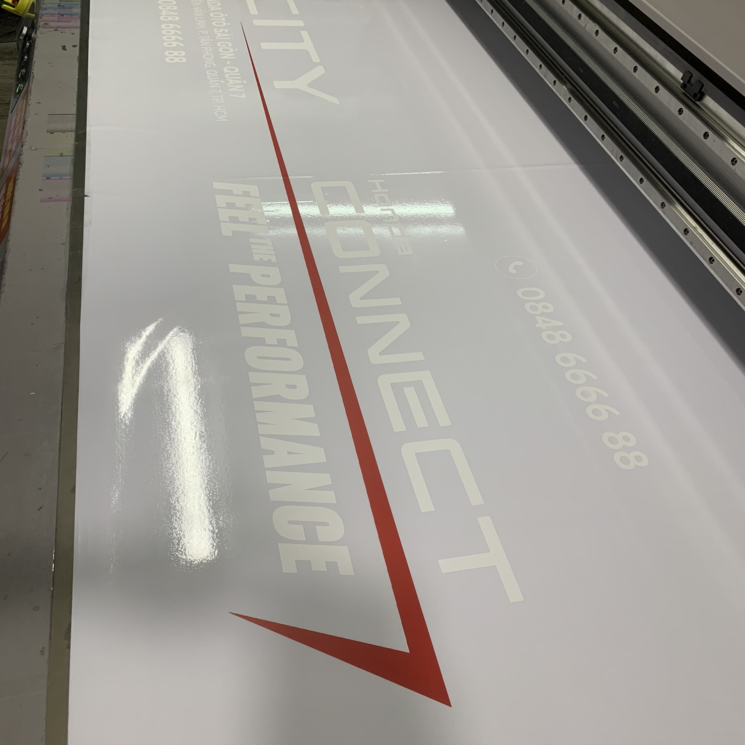 Decal Trong - Ảnh 7