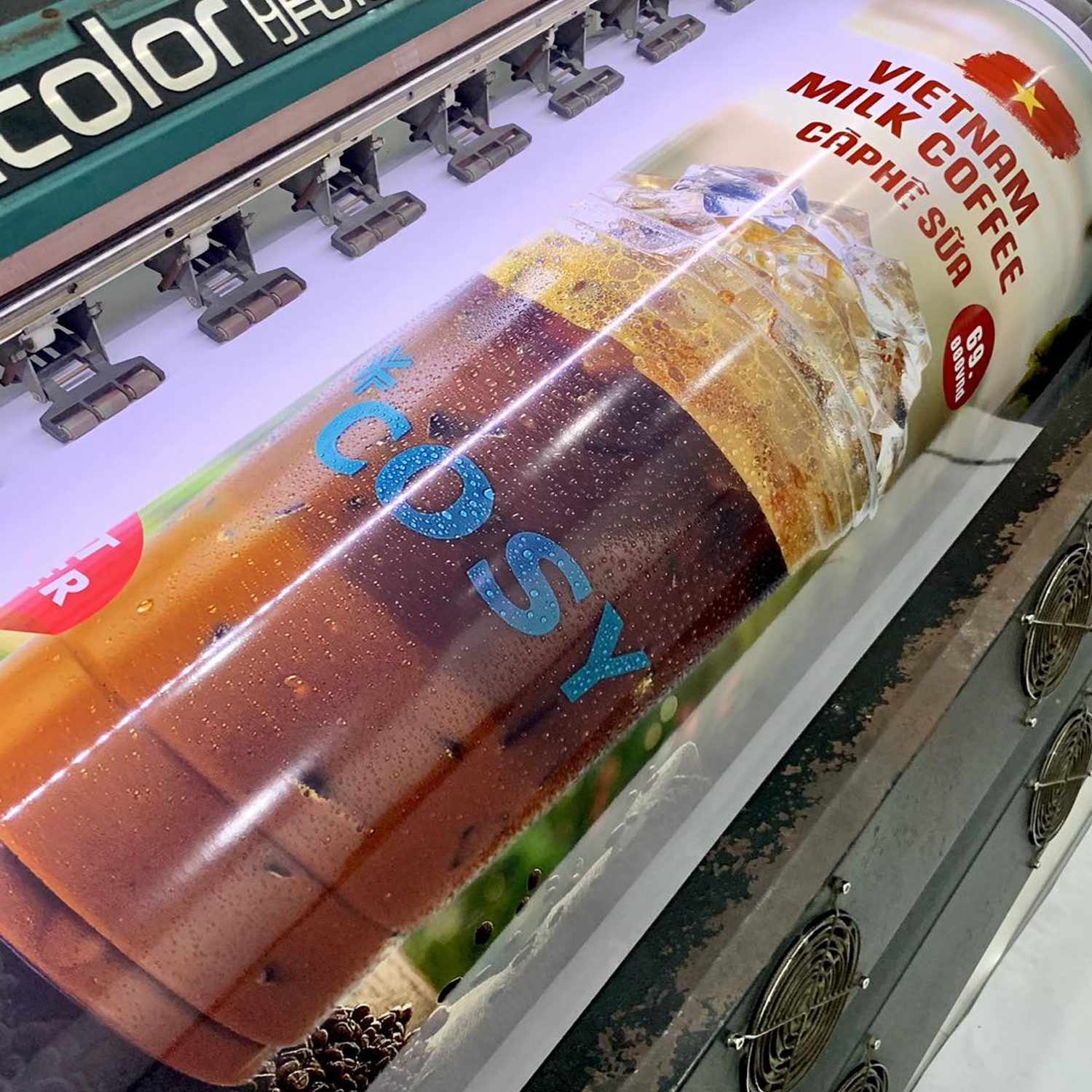 Decal Đế Đen - Ảnh 3