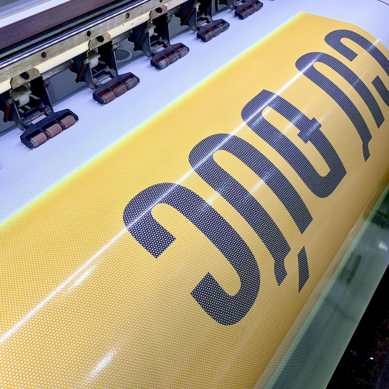 Decal Lưới - Ảnh 5